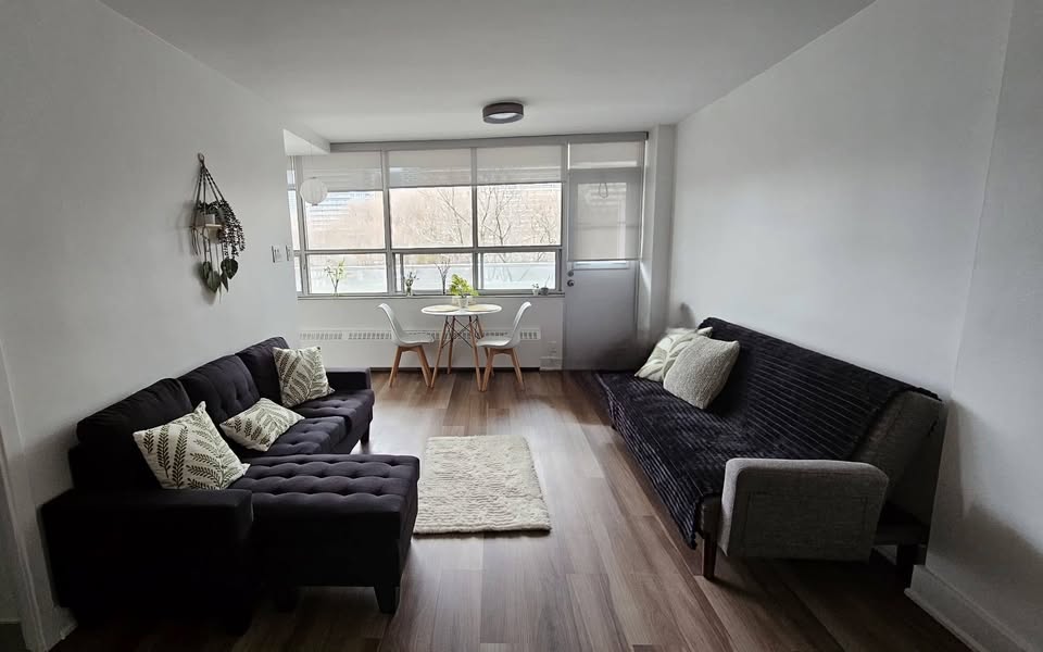 Image_Image_2