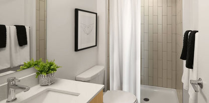 Image_Image_3