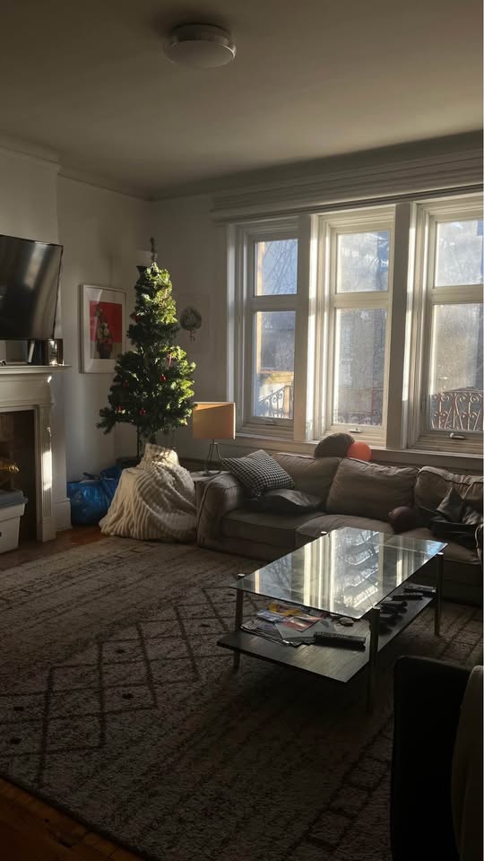 Image_Image_4