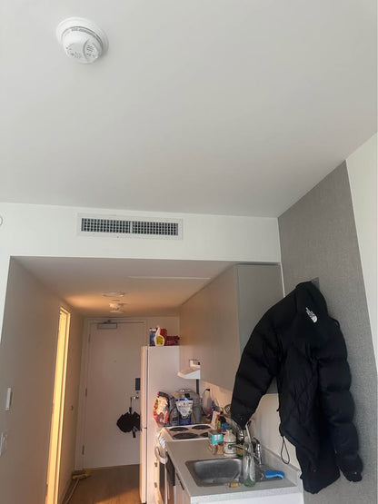 Image_Image_6
