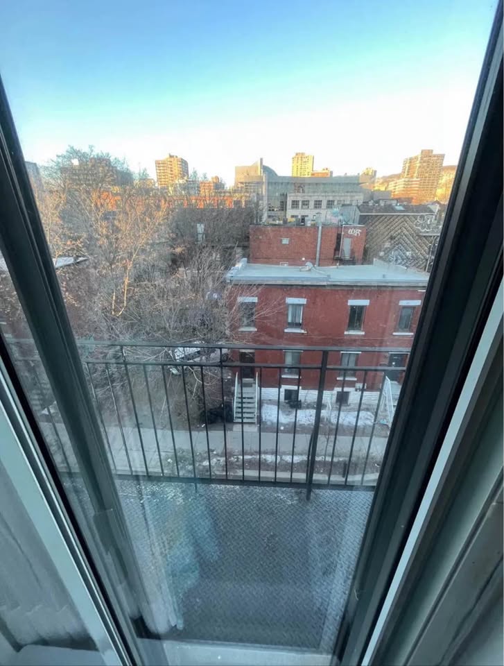 Image_Image_14