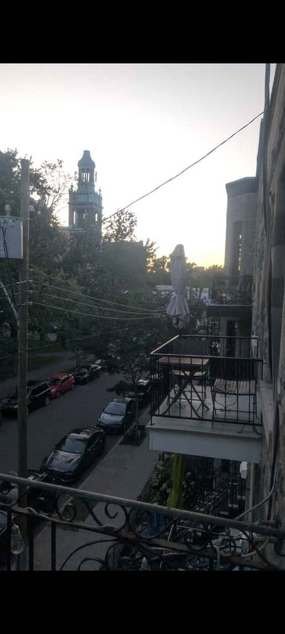 Image_Image_2
