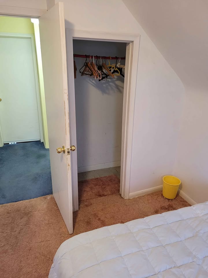 Paul_Wojtala_Image_4