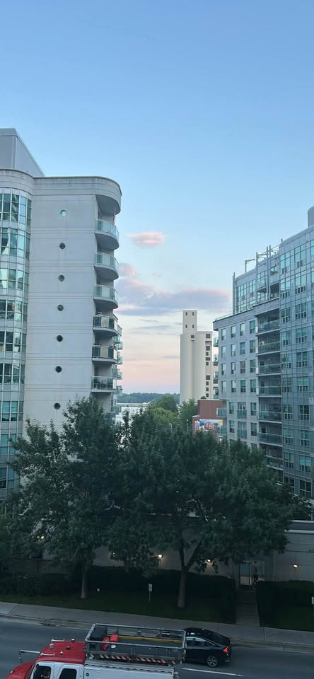 Image_Image_9