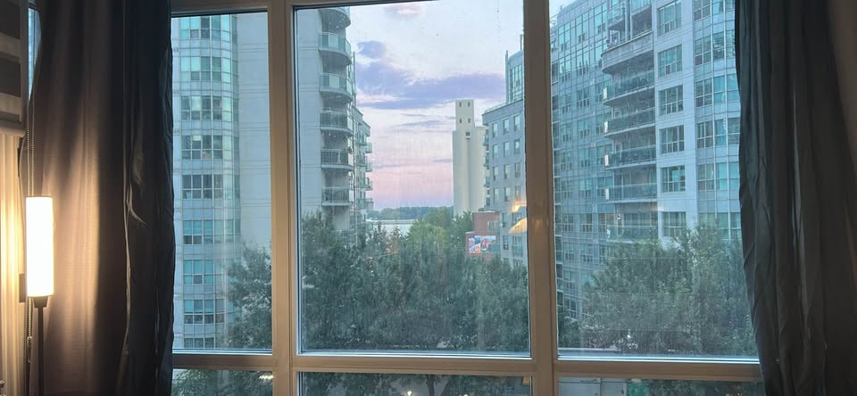 Image_Image_11