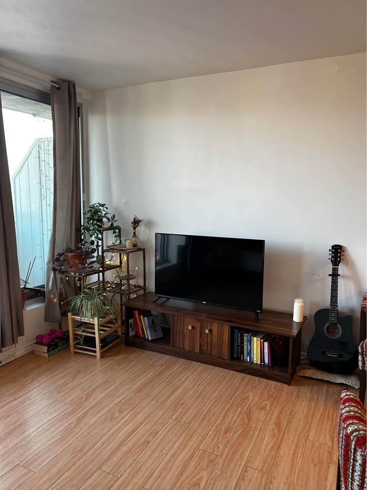 Image_Image_4