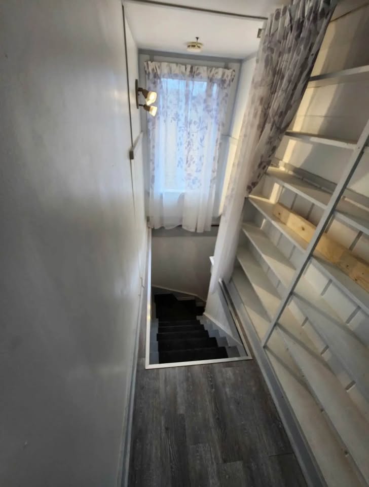 Image_Image_8