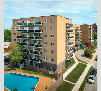 Image_Image_3