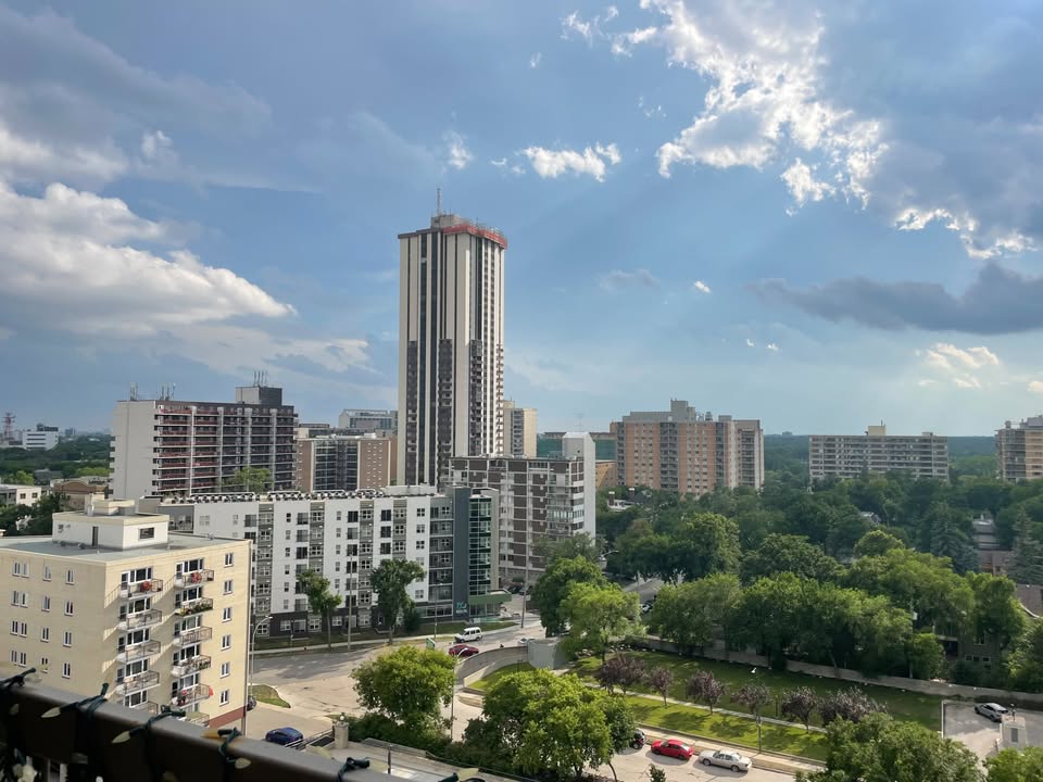 Image_Image_2