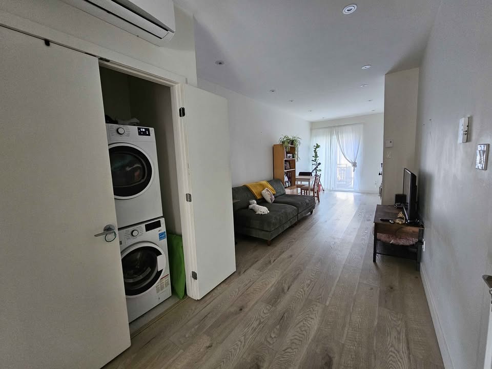 Image_Image_5